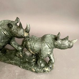 Mother Rhino And Babies