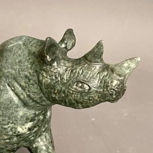 Mother Rhino And Babies