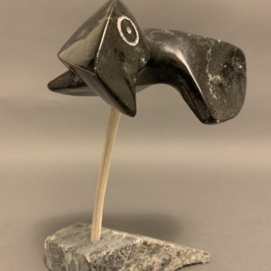 Bird _  Joe Poodat