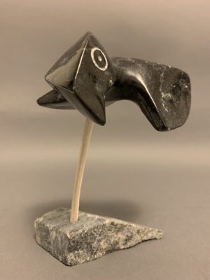 Bird _  Joe Poodat