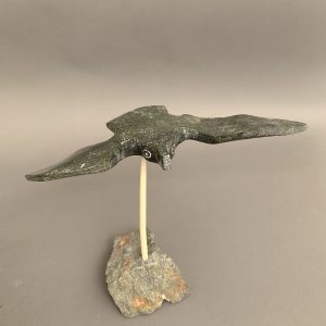 Bird In Flight_  Joe Poodat