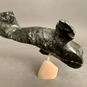 Whale-On Base_Joe poodlat