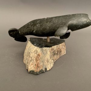Whale _ Benny Porter