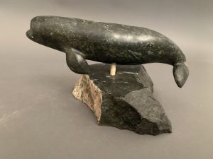Whale _ Benny Porter