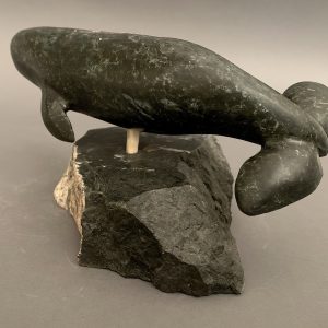 Whale _ Benny Porter