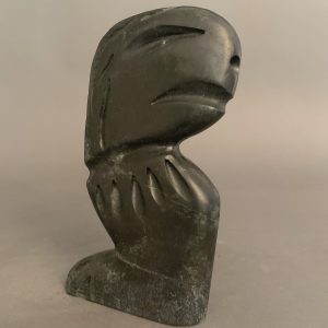 Shaman _ Charlie Ogruk