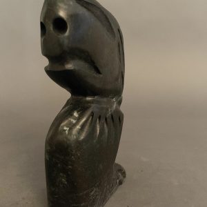Shaman _ Charlie Ogruk