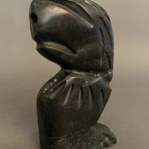 Shaman _ Charlie Ogruk