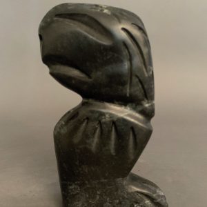 Shaman _ Charlie Ogruk