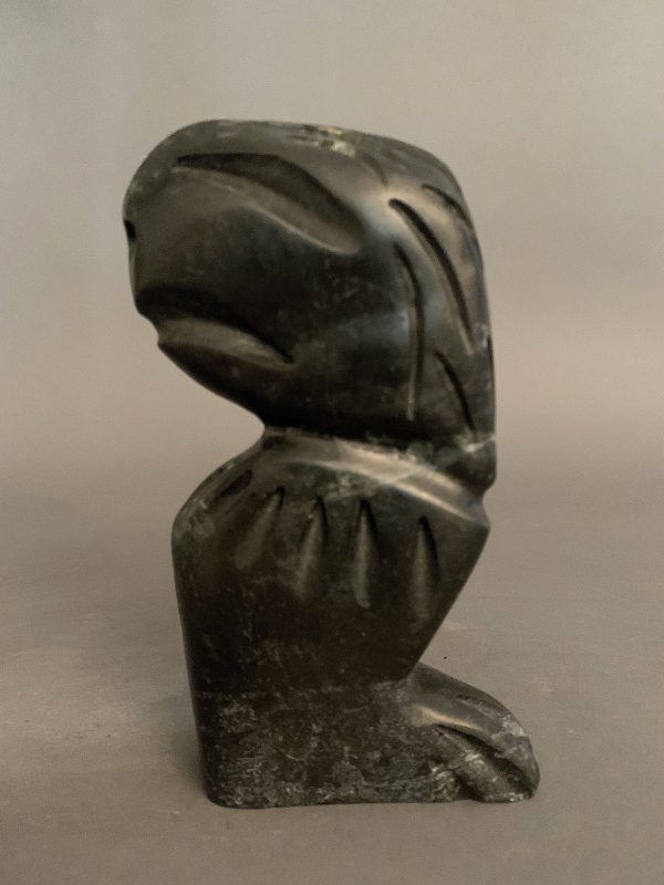 Shaman _ Charlie Ogruk