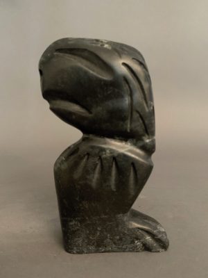 Shaman _ Charlie Ogruk