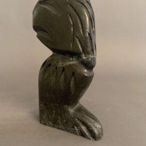Shaman _ Charlie Ogruk
