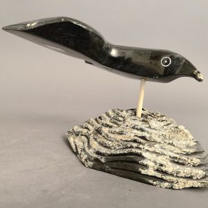 Bird _  Joe Poodat