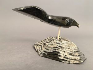 Bird _  Joe Poodat