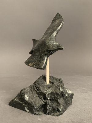 Bird _  Joe Poodat