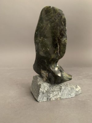 Bird _  Joe Poodat