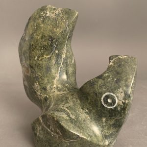 Bird _  Joe Poodat