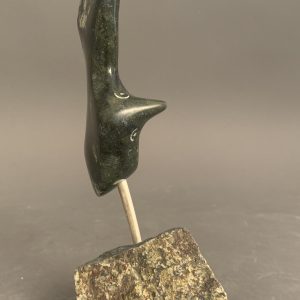 Bird _  Joe Poodat