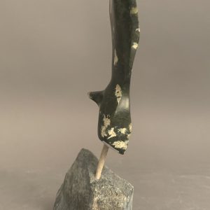 Bird _  Joe Poodat