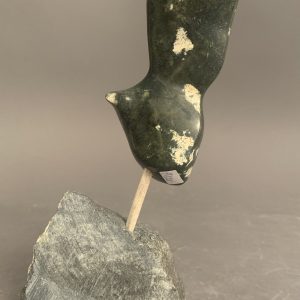 Bird _  Joe Poodat