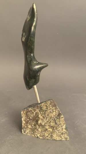 Bird _  Joe Poodat
