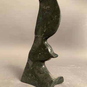 Bird _  Joe Poodat