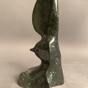 Bird _  Joe Poodat