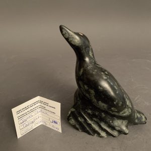 Goose Nesting _ James Ohitook