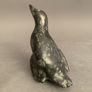 Goose Nesting _ James Ohitook