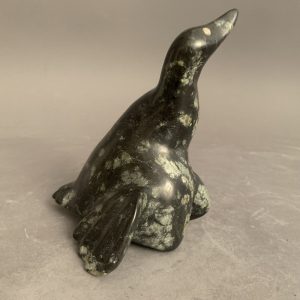 Goose Nesting _ James Ohitook