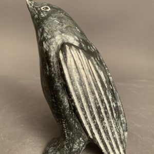 Bird _  Issac Panigayak