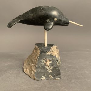 Narwhal _  Mike Nulliayak