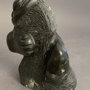 Shaman _ Leo Uttaq 