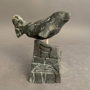 Seal _ Putuguk Ashevak