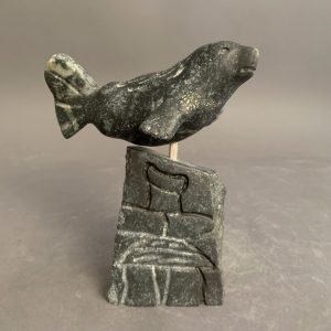 Seal _ Putuguk Ashevak
