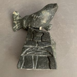 Seal _ Putuguk Ashevak