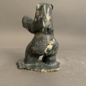 Bear _  Putuguk Ashevak