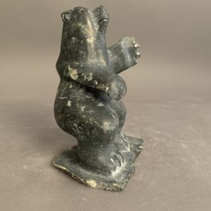 Bear _  Putuguk Ashevak
