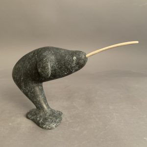 Narwhal _ Simon Oleekatalik