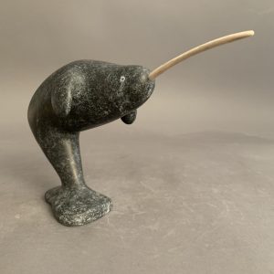 Narwhal _ Simon Oleekatalik