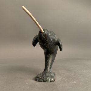Narwhal _ Simon Oleekatalik