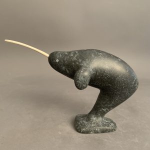 Narwhal _ Simon Oleekatalik