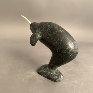 Narwhal _ Simon Oleekatalik