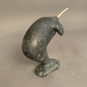 Narwhal _ Simon Oleekatalik