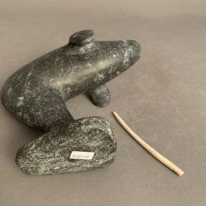Narwhal _ Simon Oleekatalik