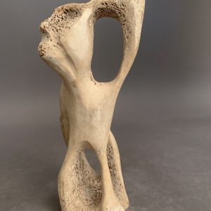 Shaman _ Alex Alikashuk