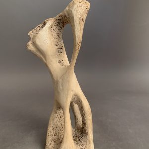 Shaman _ Alex Alikashuk