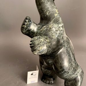 Dancing Bear _ Davidee Shaa