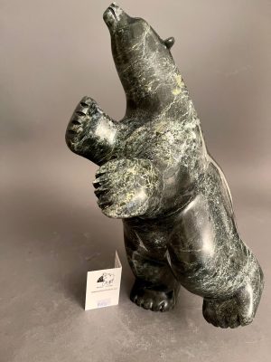 Dancing Bear _ Davidee Shaa