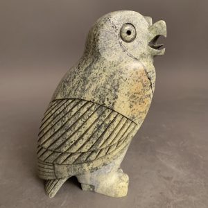 Beautiful Owl _ Pitselork Qimirpik